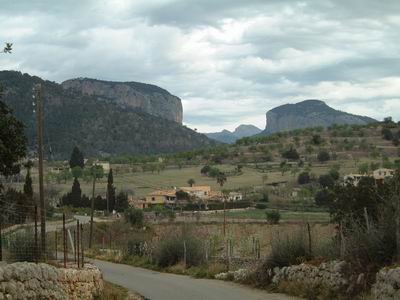 DSCF0020.JPG